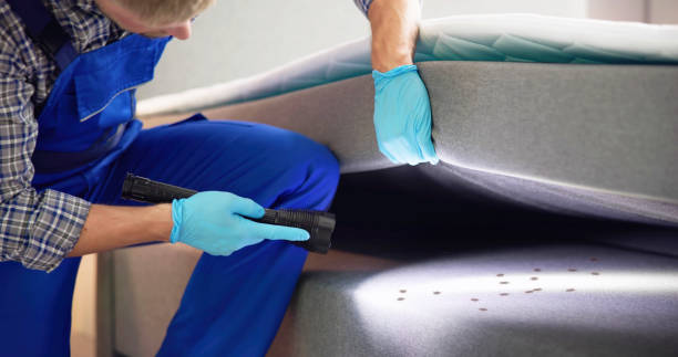 Best Pest Control Near Me  in Berkshire Lakes, FL
