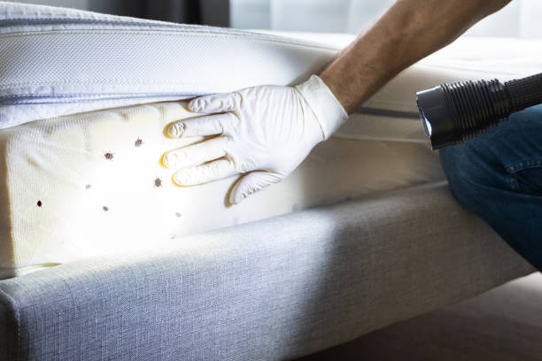 Best Pest Control for Restaurants  in Berkshire Lakes, FL